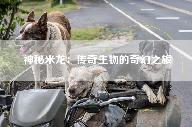 神秘米龙：传奇生物的奇幻之旅