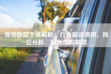 宠物医院工资解析：行业薪资调研、岗位分析、薪酬结构解读