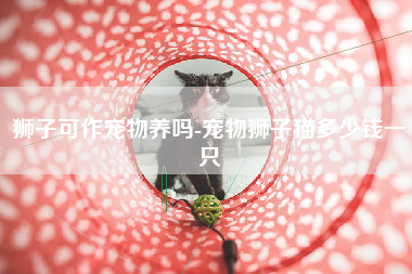 狮子可作宠物养吗-宠物狮子猫多少钱一只