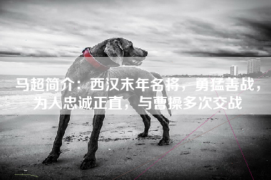 马超简介：西汉末年名将，勇猛善战，为人忠诚正直，与曹操多次交战