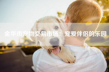 金华市宠物交易市场：宠爱伴侣的乐园