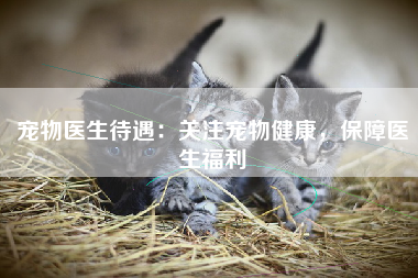 宠物医生待遇：关注宠物健康，保障医生福利