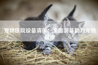 宠物医院设备清单：全面装备助力宠物健康