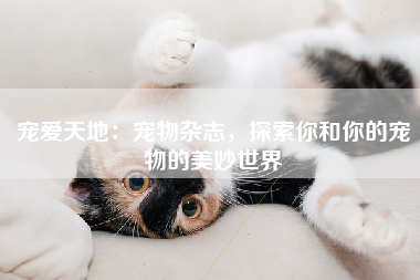 宠爱天地：宠物杂志，探索你和你的宠物的美妙世界