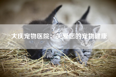 大庆宠物医院：关爱您的宠物健康