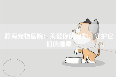静海宠物医院：关爱你的宠物，守护它们的健康