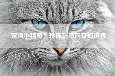 宠物小精灵：珍珠钻石的奇幻世界