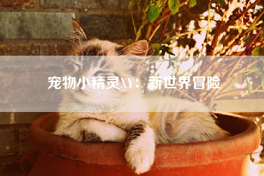 宠物小精灵XY：新世界冒险