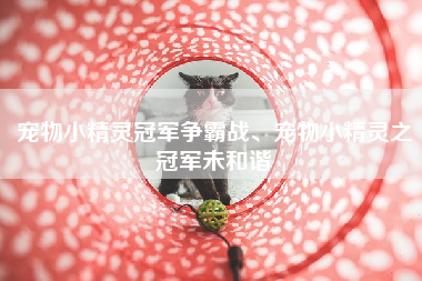宠物小精灵冠军争霸战、宠物小精灵之冠军未和谐