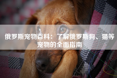 俄罗斯宠物百科：了解俄罗斯狗、猫等宠物的全面指南