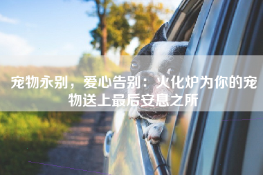 宠物永别，爱心告别：火化炉为你的宠物送上最后安息之所