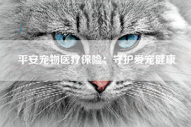 平安宠物医疗保险：守护爱宠健康