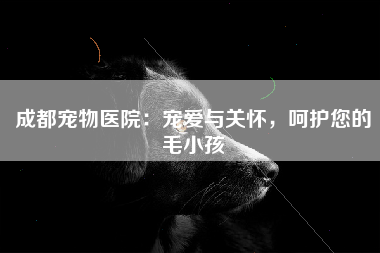 成都宠物医院：宠爱与关怀，呵护您的毛小孩
