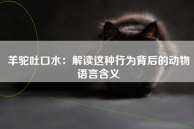 羊驼吐口水：解读这种行为背后的动物语言含义