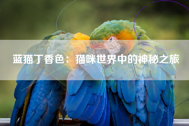 蓝猫丁香色：猫咪世界中的神秘之旅