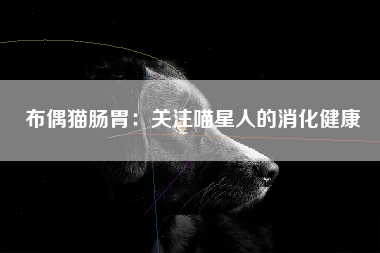 布偶猫肠胃：关注喵星人的消化健康