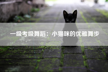 一级考级舞蹈：小猫咪的优雅舞步