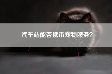 汽车站能否携带宠物服务？