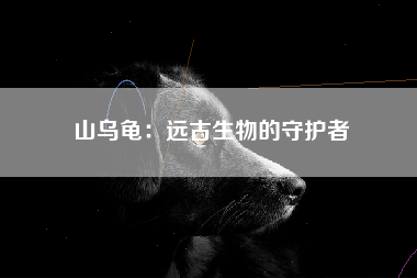 山乌龟：远古生物的守护者