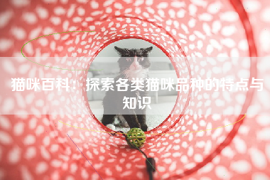 猫咪百科：探索各类猫咪品种的特点与知识
