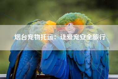 烟台宠物托运：让爱宠安全旅行