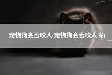 宠物狗会否咬人(宠物狗会否咬人呢)