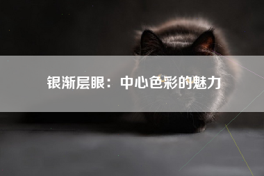 银渐层眼：中心色彩的魅力