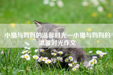 小猫与妈妈的温馨时光—小猫与妈妈的温馨时光作文