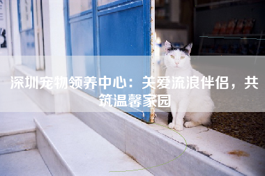 深圳宠物领养中心：关爱流浪伴侣，共筑温馨家园