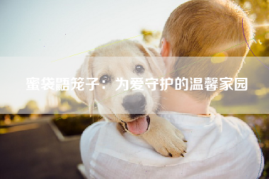 蜜袋鼯笼子：为爱守护的温馨家园