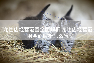 宠物店经营范围全面解析,宠物店经营范围全面解析怎么写