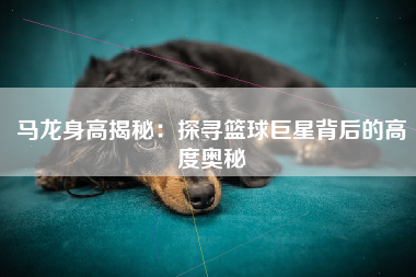 马龙身高揭秘：探寻篮球巨星背后的高度奥秘