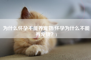 为什么怀孕不能养宠物(怀孕为什么不能养宠物？)