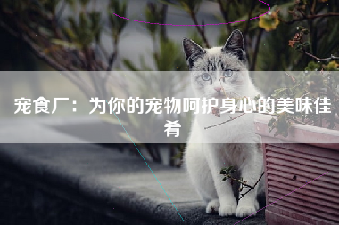 宠食厂：为你的宠物呵护身心的美味佳肴