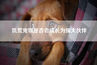饥荒宠物是否会成长为强大伙伴