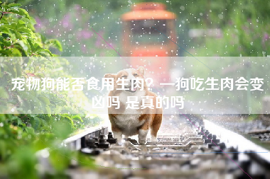 宠物狗能否食用生肉？—狗吃生肉会变凶吗 是真的吗