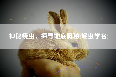 神秘蛲虫，探寻地底奥秘(蛲虫学名)