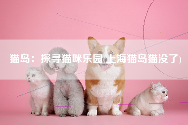 猫岛：探寻猫咪乐园(上海猫岛猫没了)