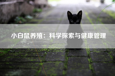 小白鼠养殖：科学探索与健康管理