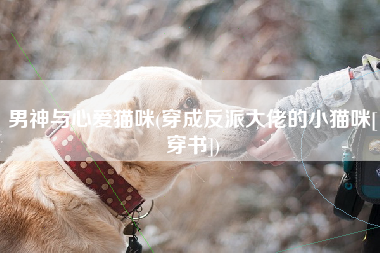 男神与心爱猫咪(穿成反派大佬的小猫咪[穿书])