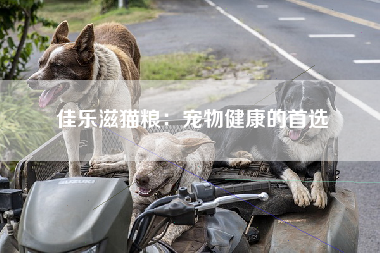 佳乐滋猫粮：宠物健康的首选