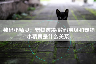 数码小精灵：宠物对决(数码宝贝和宠物小精灵是什么关系)