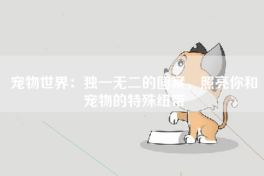 宠物世界：独一无二的图案，照亮你和宠物的特殊纽带