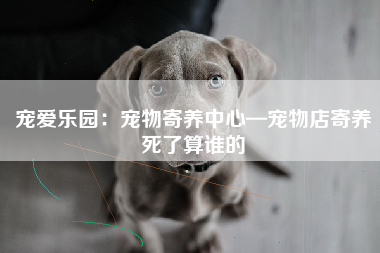 宠爱乐园：宠物寄养中心—宠物店寄养死了算谁的