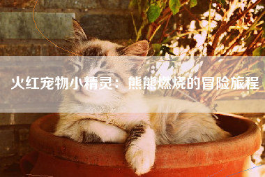 火红宠物小精灵：熊熊燃烧的冒险旅程