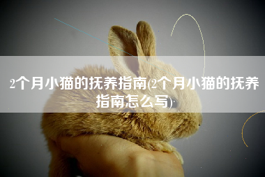 2个月小猫的抚养指南(2个月小猫的抚养指南怎么写)