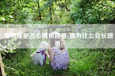 宠物猫是否会携带跳蚤(猫为什么会长跳蚤)