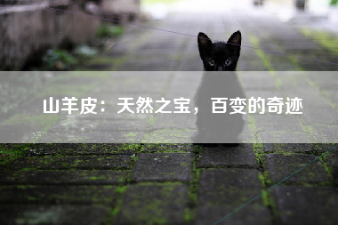 山羊皮：天然之宝，百变的奇迹