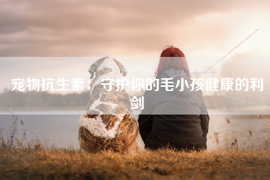宠物抗生素：守护你的毛小孩健康的利剑