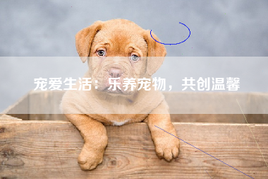 宠爱生活：乐养宠物，共创温馨